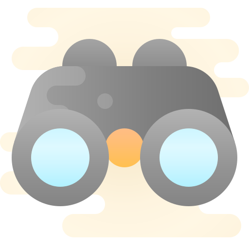 Vision